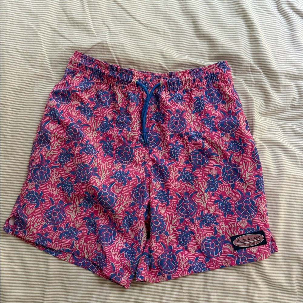 Boys Printed Chappy Swim Trunks